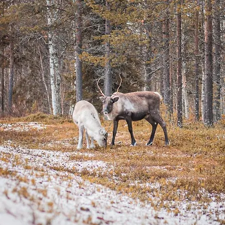 Aurinkosuomu Apartment *